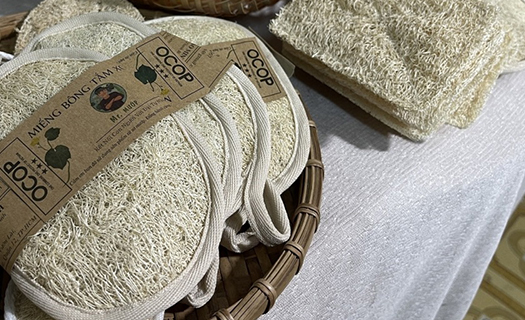 Khẩn thiết thúc đẩy chuỗi sản xuất - chế biến - tiêu thụ nông sản ĐBSCL